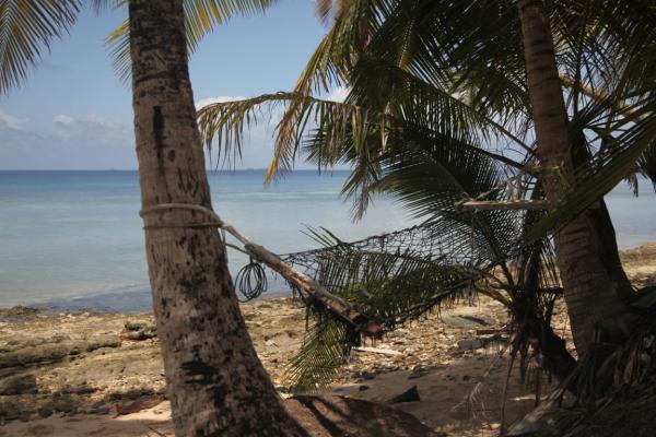 En hngmatta mellan tv palmer i Sderhavet