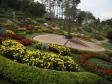 Mae Fah Luang Garden