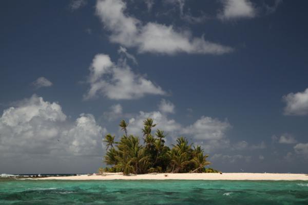 I Tuvalu finns mngder av obebodda ar
