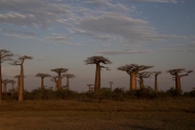 Madagaskar