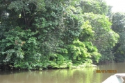 Kamerun
