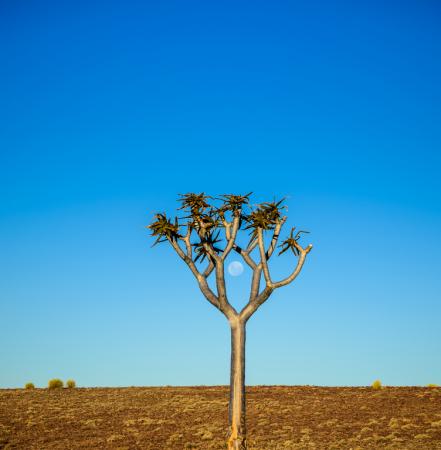 Namibia