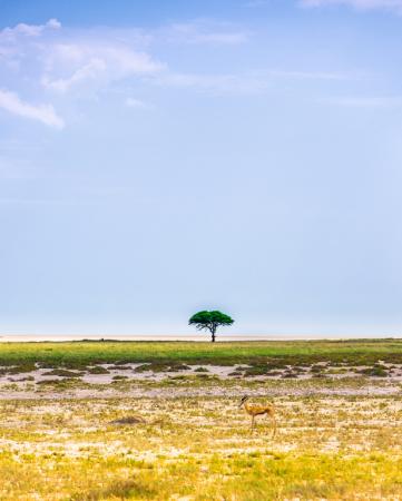 Namibia