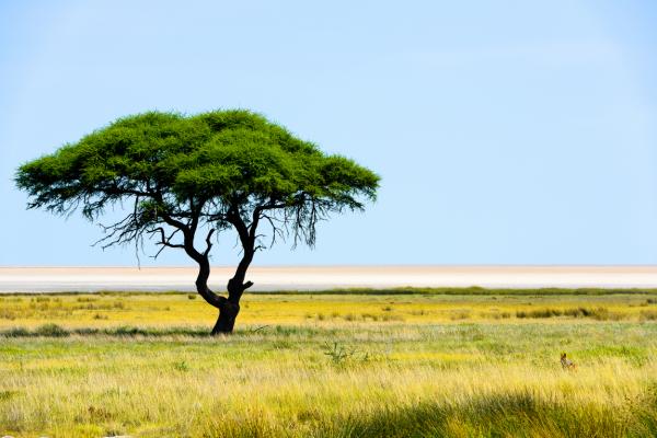 Namibia