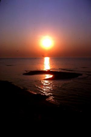 Solnedgng Skanr o Falsterbo