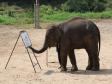 En elefant som mlar en tavla