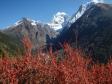 Everest base camp trek