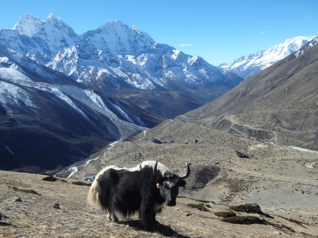 Everest base camp trek