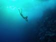 Freediving in BVI